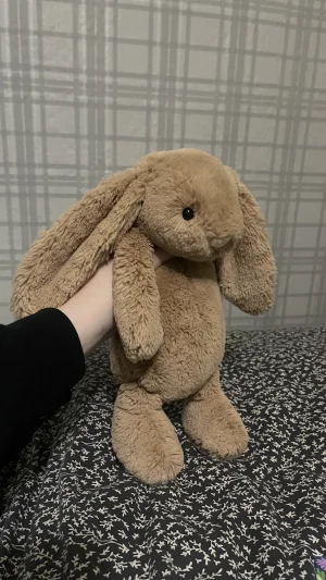 Bashful Biscuit Bunny - Medium Jellycat photo