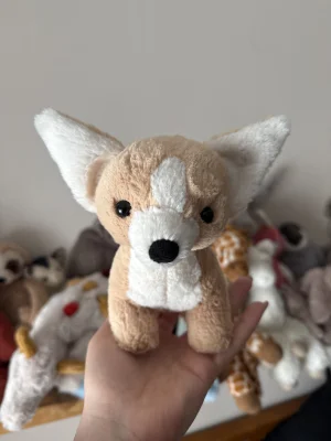 A photo of Isobel Chihuahua Jellycat taken by JellyElenJoy