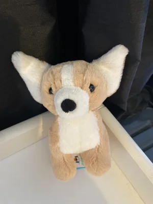 A photo of Isobel Chihuahua Jellycat taken by Jellycat