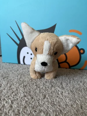 Isobel Chihuahua Jellycat photo
