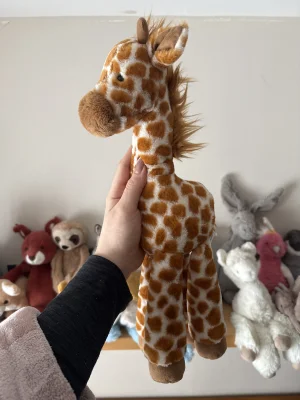 A photo of Dillydally Giraffe - Medium Jellycat taken by JellyElenJoy