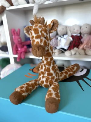 Dillydally Giraffe - Medium Jellycat photo