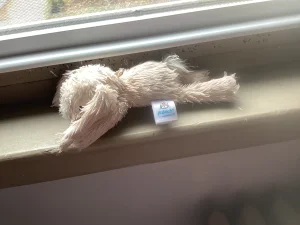 Smudge Rabbit Bag Charm Jellycat | Jelly Journal