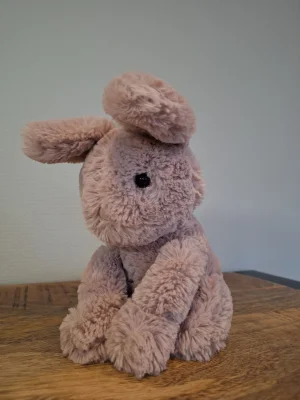 A photo of Starry-Eyed Bunny Jellycat taken by Sofie