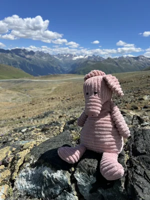 A photo of Cordy Roy Pig - Medium Jellycat taken by Sniff