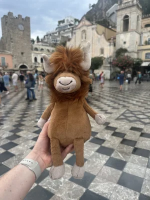 A photo of Ramone Bull Jellycat taken by LucyMu1
