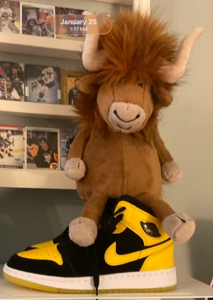 A photo of Ramone Bull Jellycat taken by Rickyduckhead
