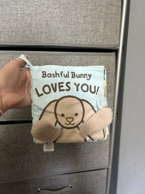 Bashful Bunny Loves You Book Jellycat photo uploaded by averyd2003