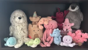 Galumphous Seal Jellycat photo uploaded by the_jelly_jungle