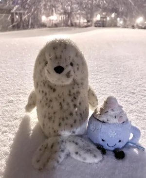 Galumphous Seal Jellycat photo uploaded by catycake