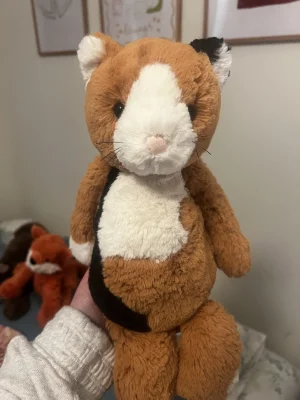 Bashful Calico Kitty Jellycat photo