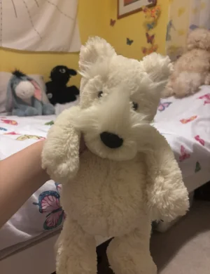 Bashful Westie - Medium Jellycat photo uploaded by lottyslittlejoys