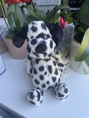 A photo of Bashful Dalmatian Jellycat taken by GreekTrouble