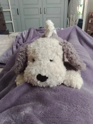 Bashful Mutt - Medium Jellycat | Jelly Journal