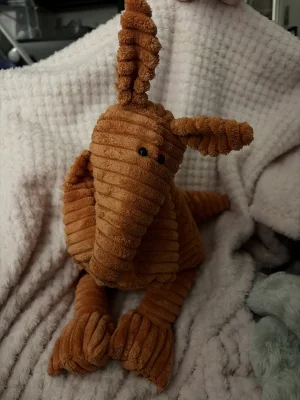 Cordy Roy Aardvark - Medium Jellycat photo