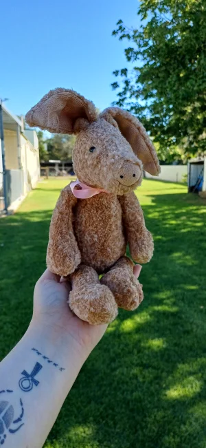 Alan Aardvark Jellycat photo uploaded by herbgardenplush
