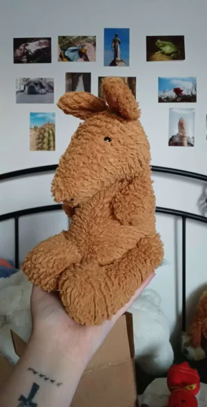 Quangle Wangle Aardvark Jellycat photo uploaded by herbgardenplush