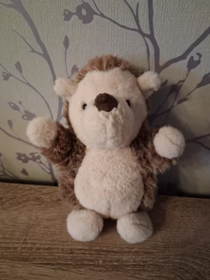 Little Hedgehog Jellycat photo uploaded by Hope_Collectablez
