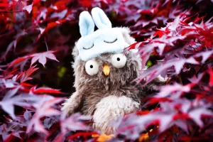 Audrey Hootsoftly Jellycat | Jelly Journal