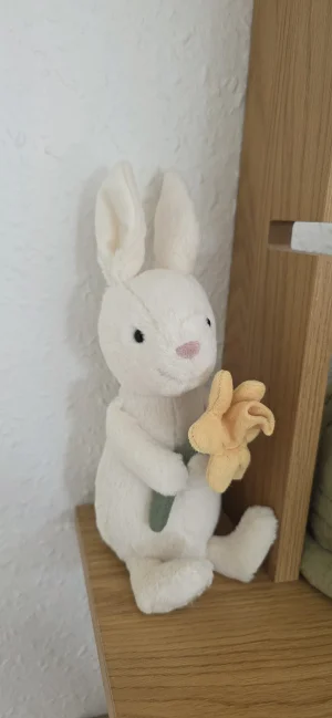 A photo of Bobbi Bunny with Daffodil Jellycat taken by Sofie135