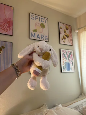 Bashful Bunny with Pencil Jellycat | Jelly Journal