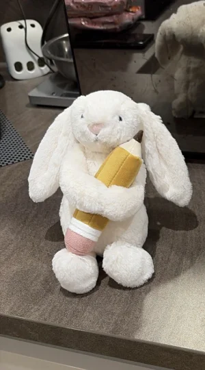Bashful Bunny with Pencil Jellycat | Jelly Journal