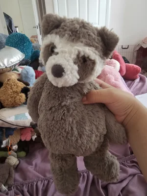 Bashful Raccoon - Medium Jellycat photo