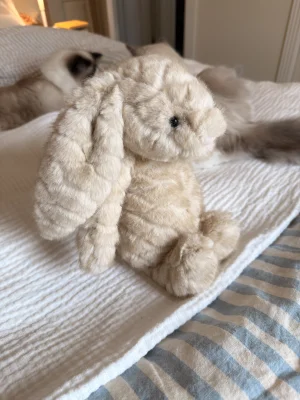 Franilla Luxe Bunny Jellycat | Jelly Journal