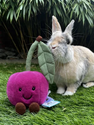 Photo by Mila<3Jellycats!!