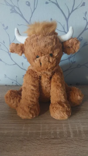 Fuddlewuddle Highland Cow Jellycat photo uploaded by Hope_Collectablez