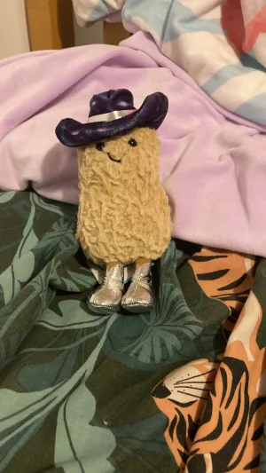 Amuseables Peanut Space Rodeo Outfit Jellycat photo