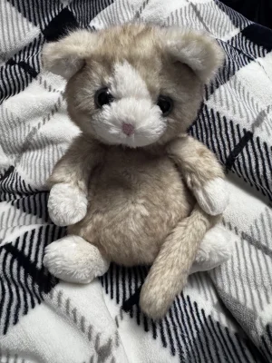 A photo of Molly Mitten Kitten Jellycat taken by MiauuNeko
