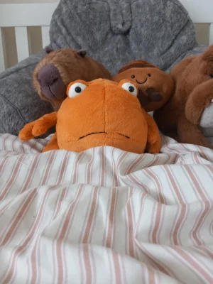 A photo of Chrissie Crab Jellycat taken by Livia_Is_The_Best