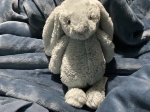 A photo of Bashful Beau Bunny - Medium Jellycat taken by Jellybunnys1984