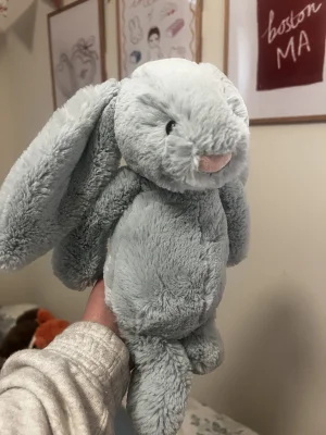 Bashful Beau Bunny - Medium Jellycat photo