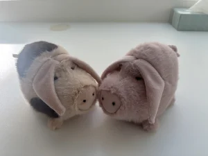 Higgledy Piggledy Pink Jellycat photo uploaded by the_jelly_jungle