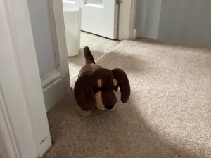 Otto Sausage Dog - Small Jellycat | Jelly Journal
