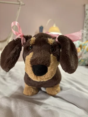 Otto Sausage Dog - Small Jellycat | Jelly Journal