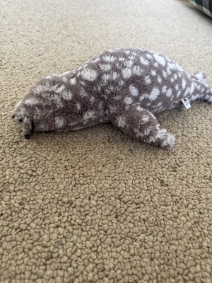 A photo of Linus Leopard Seal - Little Jellycat taken by Vas_JellyWelly
