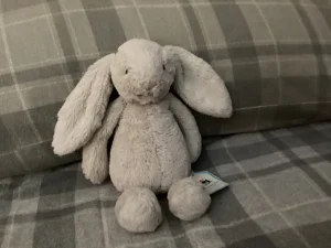 Bashful Oatmeal Bunny - Small Jellycat photo uploaded by Jellybunnys1984