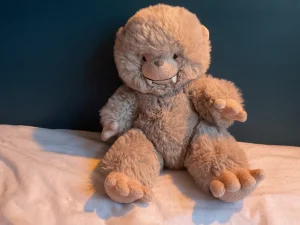 A photo of Bo Bigfoot Jellycat taken by JELLYCAT102
