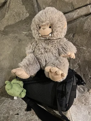 A photo of Bo Bigfoot Jellycat taken by mrkidsister