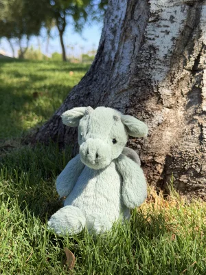 Photo by jellycatangel