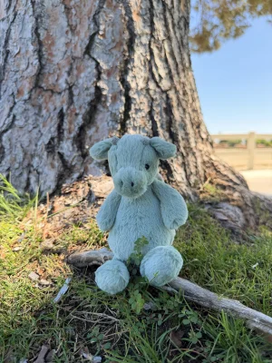 Photo by jellycatangel