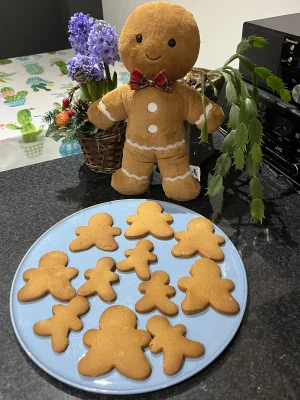 Jolly Gingerbread Fred - Large Jellycat photo