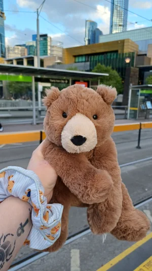 Photo by herbgardenplush