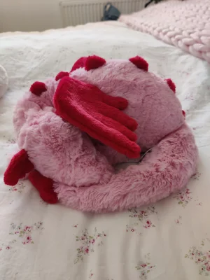 A photo of Heart Dragon Jellycat taken by SamsonSue