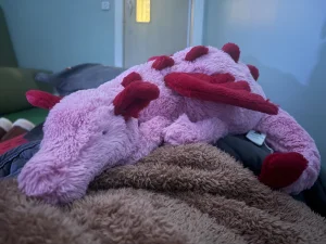 A photo of Heart Dragon Jellycat taken by Sophs