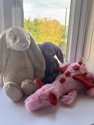 A photo of Heart Dragon Jellycat taken by Elliexlouisex