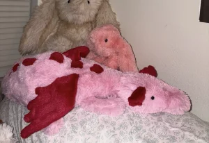 A photo of Heart Dragon Jellycat taken by taylor99999